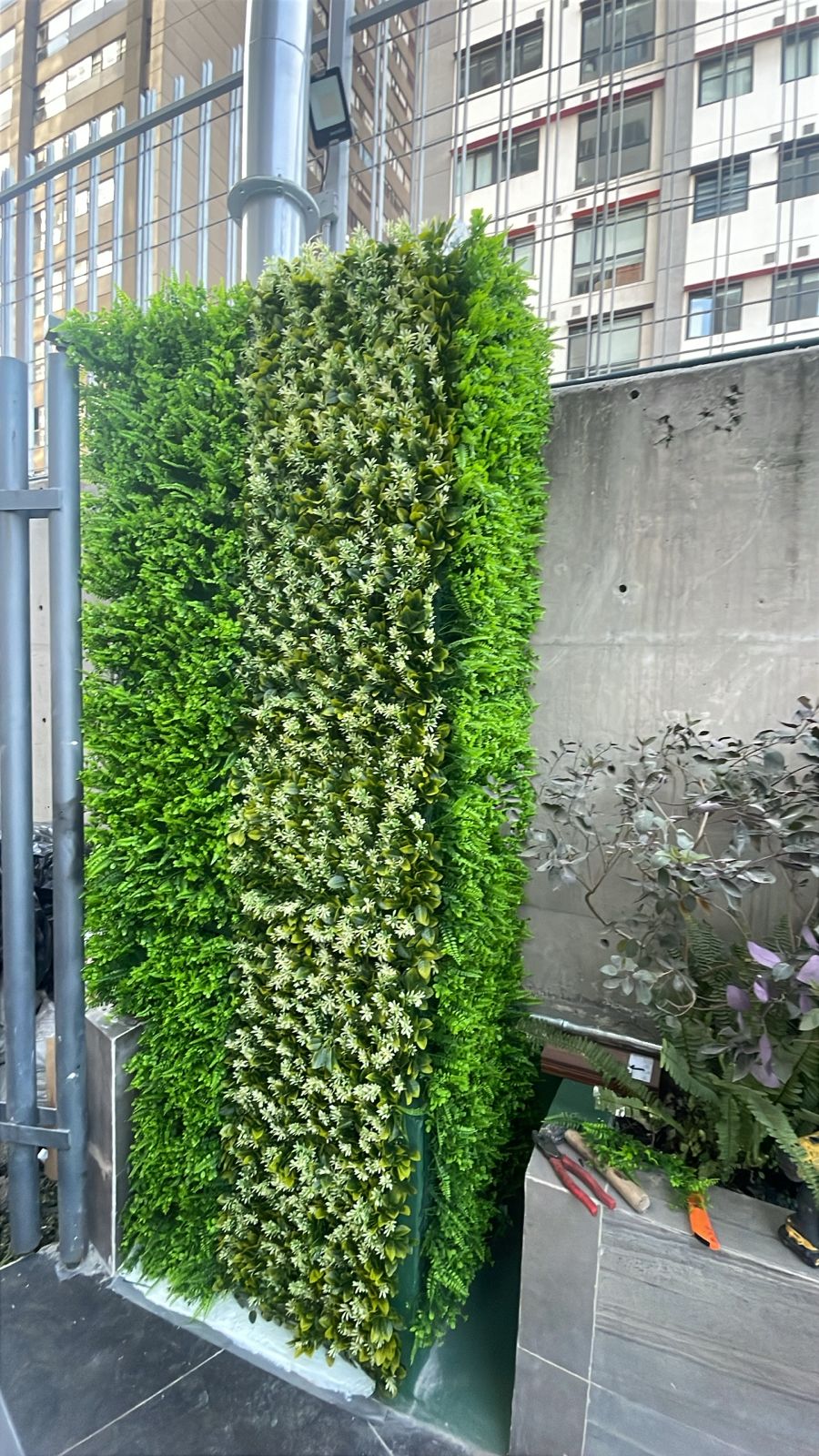 MURO VERDE